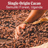 58% 1.8oz 3-Pack Raaka Chocolate Oat Milk, Cacao Cane Sugar Free Dark Chocolate | Gourmet Dark Chocolate Gift |