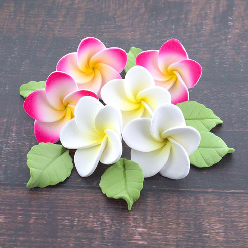 24 Count Count Global Sugar Art Tropical Frangipani Plumeria Edible Sugar Flower Blossoms, Wedding Cake & Cupcake