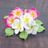 24 Count Count Global Sugar Art Tropical Frangipani Plumeria Edible Sugar Flower Blossoms, Wedding Cake & Cupcake