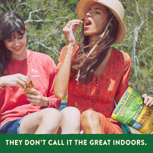 17 oz Nature Valley Protein Granola, Oats and Honey Granola, Resealable Snack Pouch, Family Size