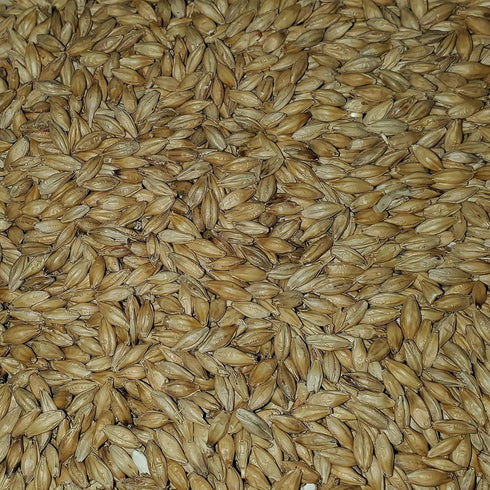 Briess 2-Row 10lbs Brewers Malt for Home Brewing Whole Grain