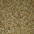 Briess 2-Row 10lbs Brewers Malt for Home Brewing Whole Grain