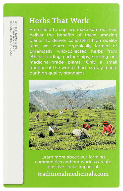 (Pack 1) 16 Traditional Medicinals Organic Green Tea Ginger Herbal Tea, Promotes Healthy Digestion, of - Tea Bags