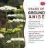 Spicy World Ground Anise Powder, 7 Ounce - Pure & Natural, Great for Baking, Cooking, and Tea