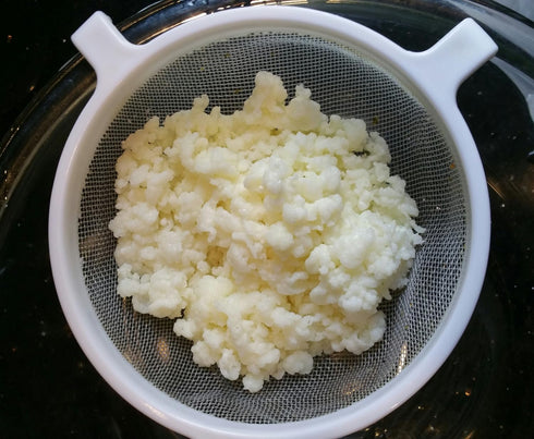 Natural Home Remedies Milk Kefir Grains Live Raw Organic Probiotics BULGAROS