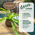17 Better-GRO Hanging Kokodama with Birds Nest Fern - Biodegradable, Natural Planter for Indoor/Outdoor Spaces