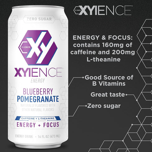 16 oz (Pack 12) Xyience Blueberry Pomegranate Energy Drink, fl can