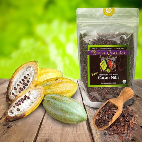 (16oz) Divine Organics Raw Cacao/Cocoa Nibs - Certified Organic - Premium Rio Arriba - Smoothies, Baking, Snacks
