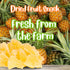 5 Lbs Delicious Dried Pineapple Chunks by It's Delish - Bulk Bag | Lightly Sweetened Candied Fruit, Low Sugar, Vegan