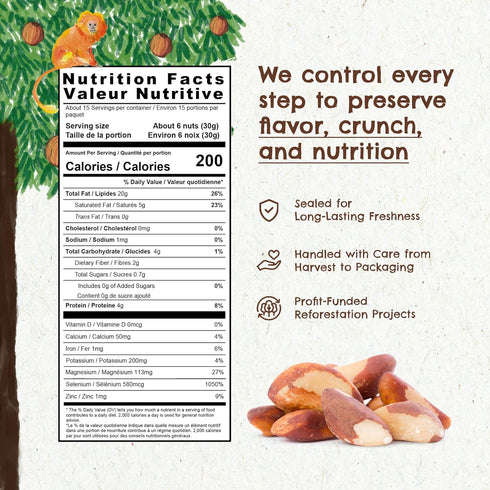 15 oz Snack The True Organic Brazil Nuts Raw and Unsalted Kosher Healthy-Rich in Vegetable Protein Harvested in Amazon