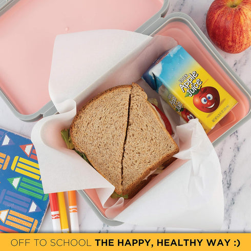 100% 5 Pack 16 oz (5 Pack) Whole Wheat Bread Sliced - - per Loaf | Delicious Sandwich Bread | Kosher, Dairy Free & Nut