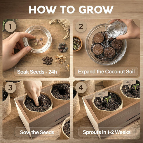 5X AVERGO Bonsai Tree Kit Classic - Unique Japanese Bonzai Trees | Complete Indoor Bonsai Starter Kits for Growing