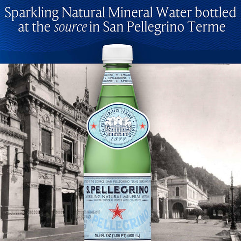 33.8 oz. (Pack 12) S.Pellegrino Sparkling Natural Mineral Water, fl Plastic Bottles