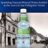 33.8 oz. (Pack 12) S.Pellegrino Sparkling Natural Mineral Water, fl Plastic Bottles