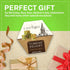 8.8oz, Eastanbul Turkish Delight Pistachio, Turkish Delights Candy, Gourmet & Double Roasted Pistachios Filled, Rich