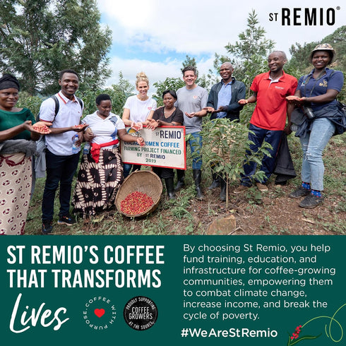 12 oz 100% ST REMIO Ground Coffee Traditional - Medium Roast, USDA Organic, Bio Organic, Smooth Honey and Almond