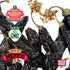 16 Oz. Packaged RICO RICO - Pasilla Dried Peppers - Pasilla Chiles Secos - Premium Peppers - Great For Mexican Cuisine