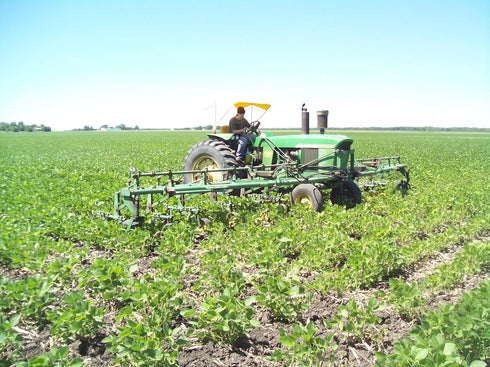 5 lbs., Organic Soybeans- nonGMO, Farmer Direct, Identity Preseved, Dry Soybeans for Tofu and Soymilk.