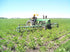 5 lbs., Organic Soybeans- nonGMO, Farmer Direct, Identity Preseved, Dry Soybeans for Tofu and Soymilk.