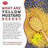 Spicy World 5-Pounds Yellow Mustard Seeds Bulk
