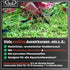 Mulberry 30g GlasGarten Shrimp Snack