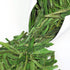 Green Tea Loose Leaf Quality Dragon Well Xi Hu Long Jing by ELITEA - Bulk 7.1 Ounce