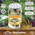 Rani Bay Leaf (Leaves) Whole Spice, Hand Selected Extra Large 0.4oz (12g) PET Jar, All Natural, Gluten Friendly,