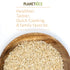 64% 22 (Pack 6) Planet Rice Bulk Sprouted Blonde Rice Bulk - Great for Bulk Cooking - Gaba, Gluten-Free, Vegan, Paleo