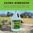 1 Immediately 1 Pickle Juice Sports Drink, Gallon, Extra Strength - Relieves Cramps - Electrolyte Pickle Juice for Day