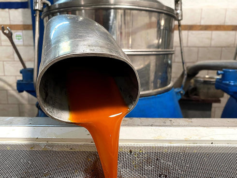 Greek Chili Pepper Infused Olive Oil