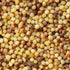 17.6 oz (Pack 2) Sanniti Toasted Fregola Sarda FIne Semolina Pasta Fregula Tostata Fina