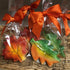 BakersDozenToGo Set 6 Thanksgiving Fall Leaf and Pumpkin Cookies- of Crunchy Shortbread Cookies Individually Wrapped by