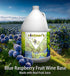 LD Carlson (128oz 1 Vintners Best Blue Raspberry Fruit Wine Base / gallon)