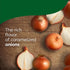 1.4 oz Knorr Soup Mix and Recipe Mix French Onion For Soups, Sauces and Simple Meals No Artificial Flavors