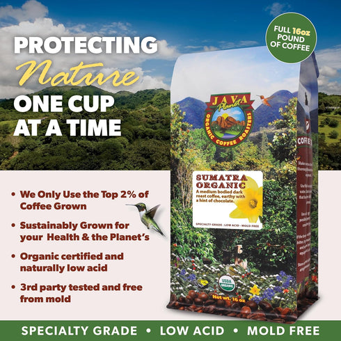 1LB Low Acid Organic Coffee Whole Bean, Mold-Free & Stomach Friendly by Java Planet, Sumatran Single Origin Coffee