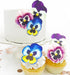 '-Set 12 Sugar Robot - Edible Pansies for cake decorating - Small Size - Edible flowers cake decorations - Premium