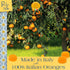 (12.35 Oz 350g Perle di Sole Candy from Italy - Italian Fruit Jelly Candy - Orange & Lemon Soft Candy Individually