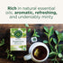 96 (6 Pack) Traditional Medicinals Tea, Organic Peppermint, Soothes Your Belly, Refreshing & Minty, Tea Bags
