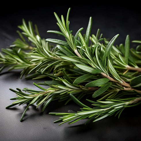 5oz Dried Rosemary Leaves Whole Rosmary Herb for Cooking, Tea, Hair Rinse & Seasoning Romero Seco, Dry Rosemarry