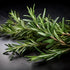 5oz Dried Rosemary Leaves Whole Rosmary Herb for Cooking, Tea, Hair Rinse & Seasoning Romero Seco, Dry Rosemarry