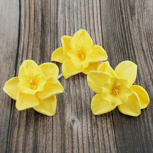 6 Count Global Sugar Art Daffodil Sugar Cake Flowers, Yellow, by Chef Alan Tetreault