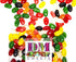 DM Sweets 1.5 lbs Jumbo Extra Large Fresh Chewy Spiced Jelly Beans - Assortment of Peppermint Clove Anise Sassafras