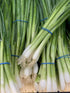Generic Fresh Green Onion3 bundles -Produce of USA (endless green onion supplies by