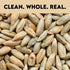 Myco Buddy 5 lbs Organic Rye Berries - Non-GMO, Kosher, Raw Whole Grain, Bulk Seeds - Product of USA