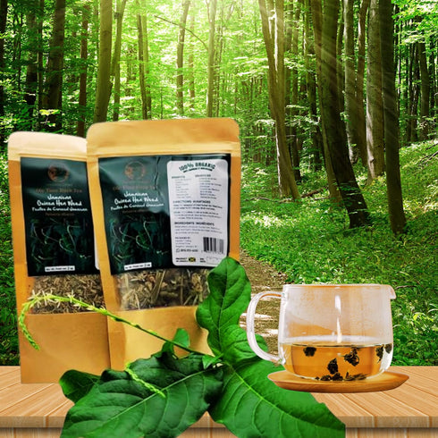 Trelawny Inspirations 4oz (2 2oz Packs) 100% Jamaican Guinea Hen Weed Tea x Handpicked Loose Leaf Herbal Tea Anamu