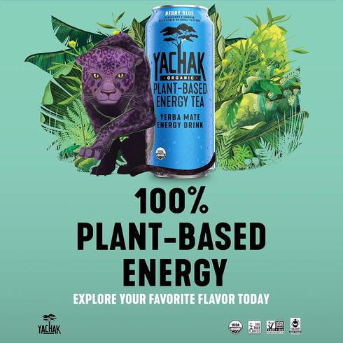 Yachak 16 Oz, Pack 12 Yerba Mate, Berry Blue