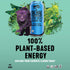 Yachak 16 Oz, Pack 12 Yerba Mate, Berry Blue