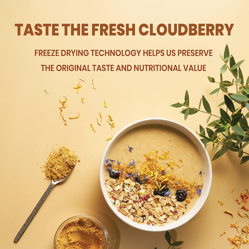 3.5 Jungle Powders Wild Cloudberry Powder for Smoothies Baking Jam Ounce Bag Pure Nordic Freeze Dried Cloudberry