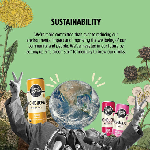 8.5 Oz 24-Pack Liquid Remedy Kombucha Sugar Free Organic Drink, Low Calorie, Probiotic Like Tea for Gut Health - Mixed