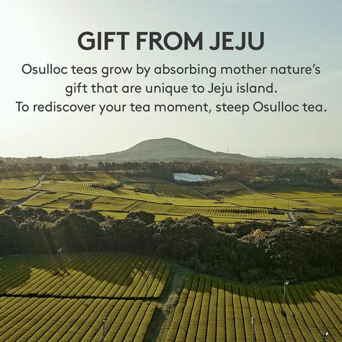 20 OSULLOC Fig Chocolat Black Tea (Juicy Fig & Chocolate flavor), Fruit Tea Blend, Premium Tea bags from Jeju Isalnd